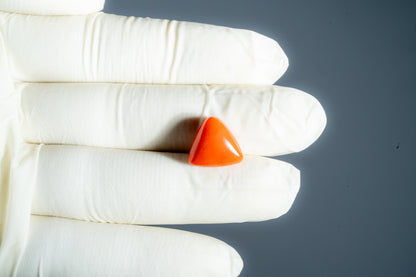 Italian Red Coral 9.02 Carats / 9.91 Ratti