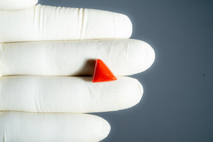 Italian Red Coral 5.23 Carats / 5.75 Ratti