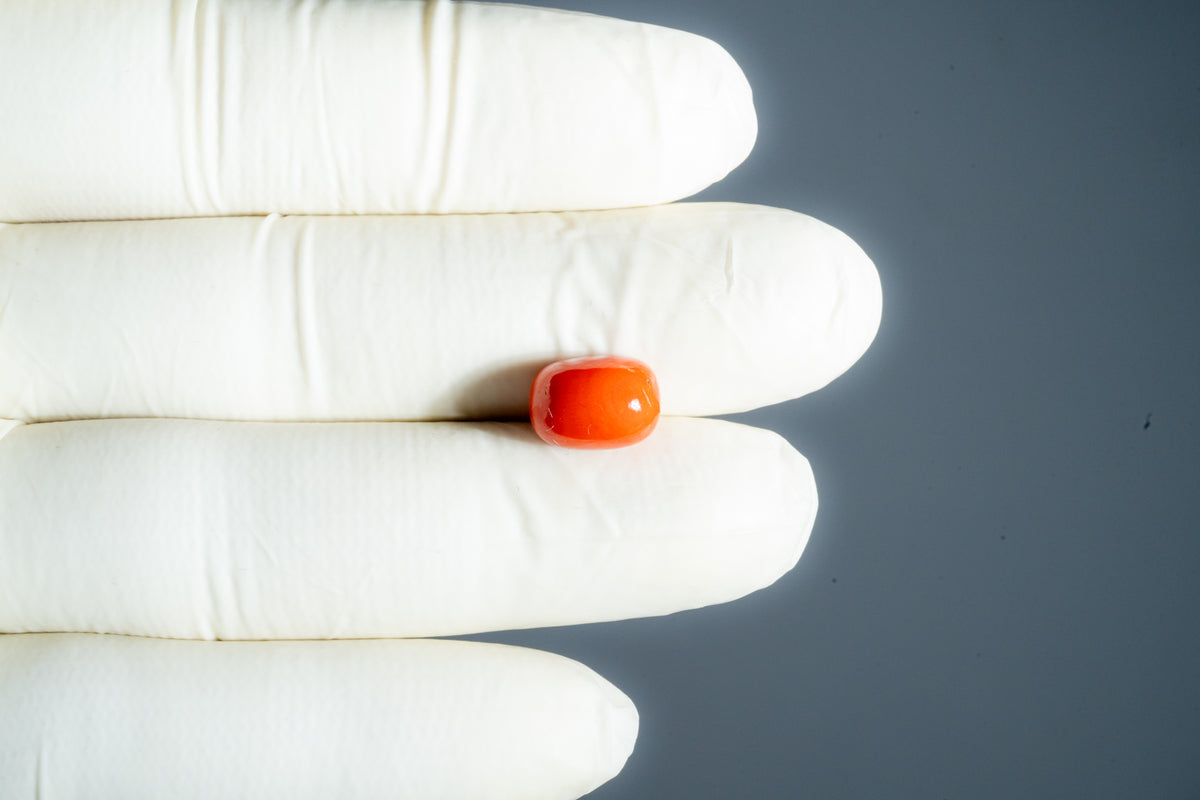 Italian Red Coral 5.90 Carats / 6.48 Ratti