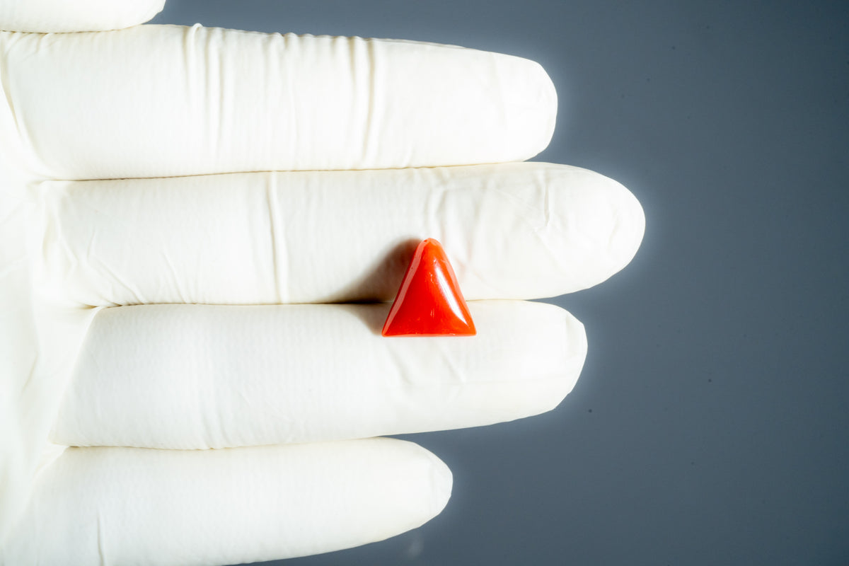 Italian Red Coral 5.19 Carats / 5.7 Ratti