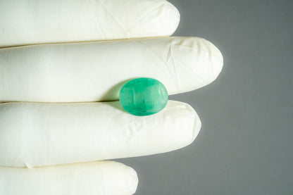 Zambian Emerald (Panna) 5.61 Carats / 6.16 Ratti