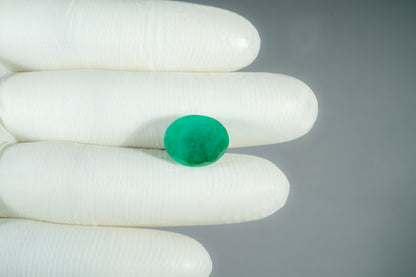Zambian Emerald (Panna) 11.36 Carats / 12.48 Ratti