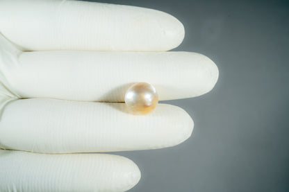 Basra Pearl 9.78 Carats / 10.75 Ratti