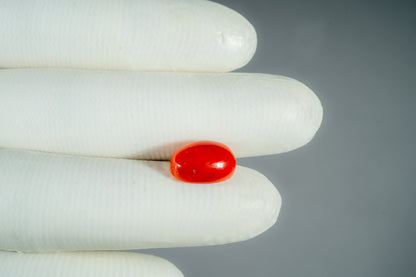 Italian Red Coral 7.88 Carats / 8.66 Ratti