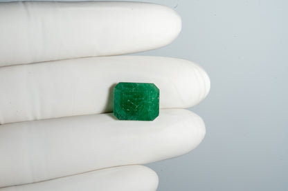 Minor Oil Zambian Emerald 11.02 Carats / 12.11 Ratti