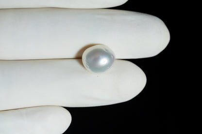 Venezuela Pearl7.55 Carats / 8.3 Ratti