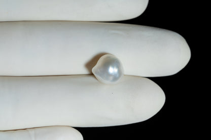 Venezuela Pearl6.23 Carats / 6.85 Ratti