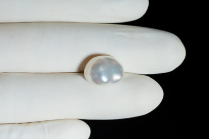 Venezuela Pearl12.30 Carats / 13.52 Ratti