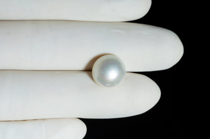 Venezuela Pearl10.43 Carats / 11.46 Ratti