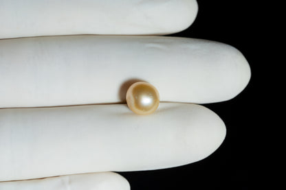 Venezuela Pearl4.01 Carats / 4.41 Ratti