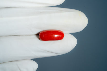 Italian Red Coral 7.44 Carats / 8.18 Ratti