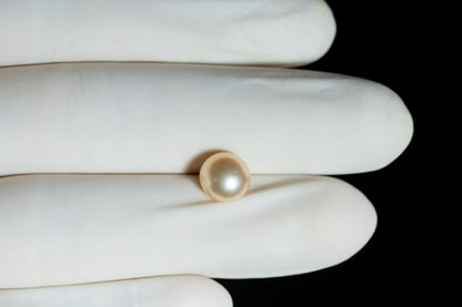 Venezuela Pearl4.02 Carats / 4.42 Ratti
