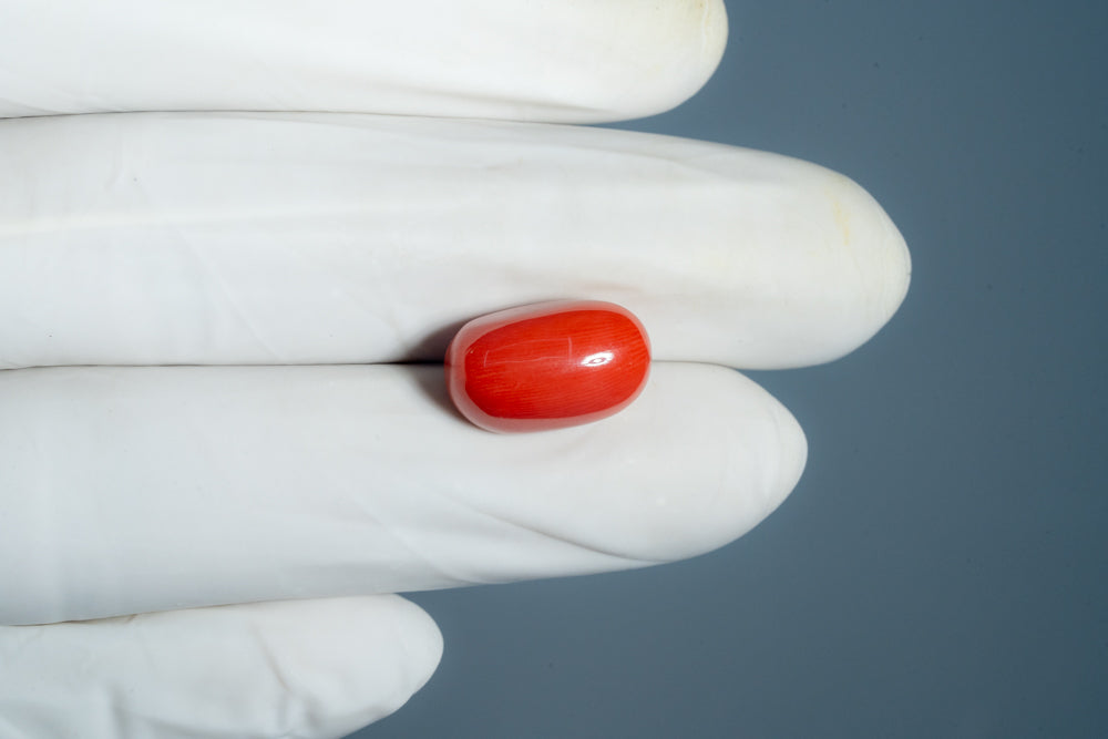 Italian Red Coral 11.54 Carats / 12.68 Ratti