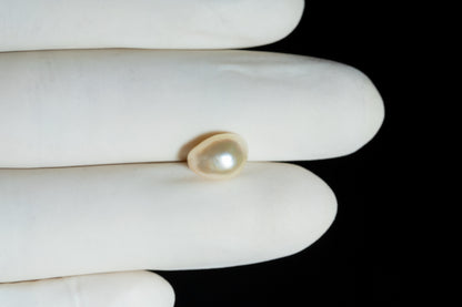 Venezuela Pearl3.72 Carats / 4.11 Ratti
