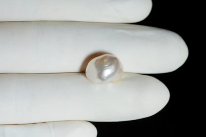 Venezuela Pearl11.19 Carats / 12.3 Ratti