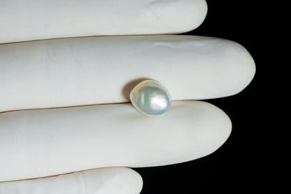 Venezuela Pearl6.39 Carats / 7.02 Ratti