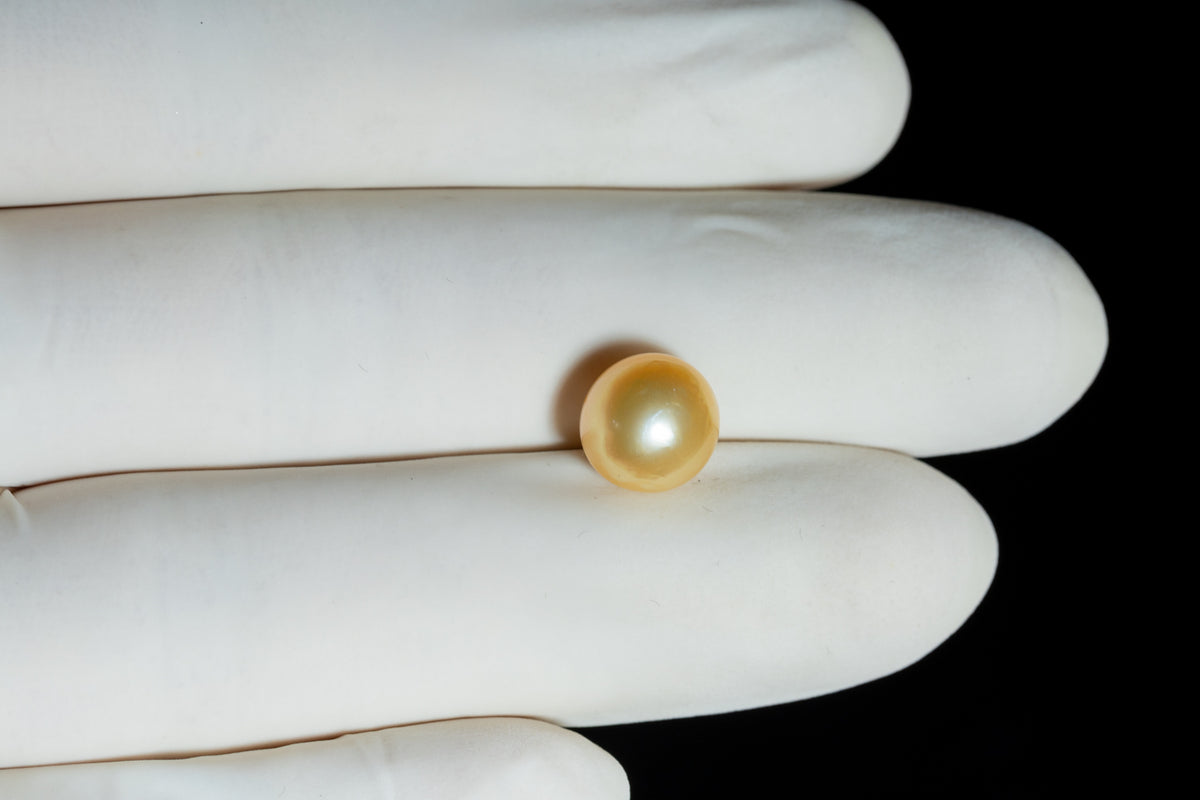 Venezuela Pearl4.53 Carats / 4.98 Ratti
