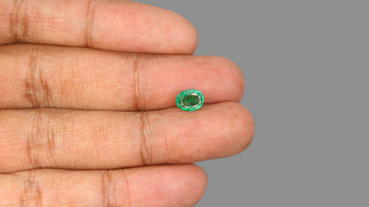 Zambian Emerald (Panna) 1.40 Carats / 1.54 Ratti