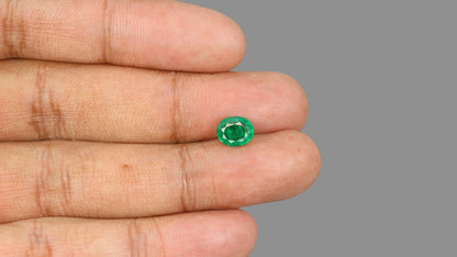 Zambian Emerald (Panna) 1.67 Carats / 1.84 Ratti