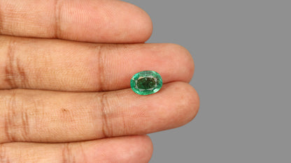 Zambian Emerald (Panna) 3.10 Carats / 3.41 Ratti
