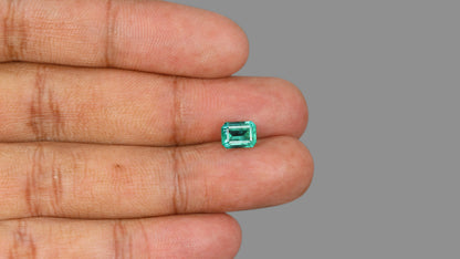 Zambian Emerald (Panna) 1.97 Carats / 2.16 Ratti