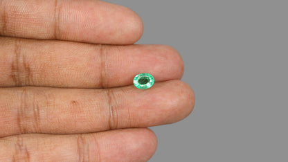 Zambian Emerald (Panna) 1.32 Carats / 1.45 Ratti