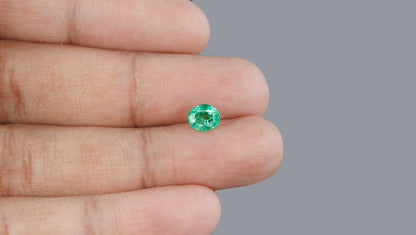 Zambian Emerald (Panna) 1.27 Carats / 1.4 Ratti