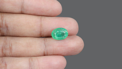 Brazil Emerald (Panna) 6.50 Carats / 7.14 Ratti