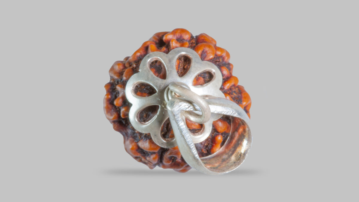 4 MUKHI RUDRAKSHA (18.93 mm)