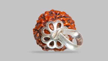 4 MUKHI RUDRAKSHA (18.51 mm)