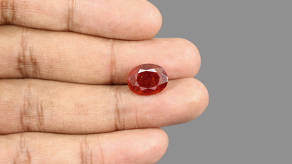 African Hessonite (Gomed) 8.26 Carats / 9.08 Ratti
