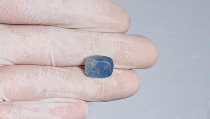 Natural Blue Sapphire 11.23 Carats / 12.34 Ratti