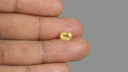 Natural Yellow Sapphire 2.31 Carats / 2.54 Ratti