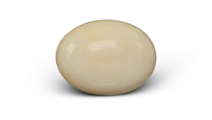 White Opal With Fire 13.36 Carats / 14.68 Ratti
