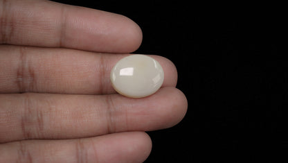White Opal With Fire 19.81 Carats / 21.77 Ratti