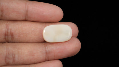 White Opal With Fire 16.09 Carats / 17.68 Ratti