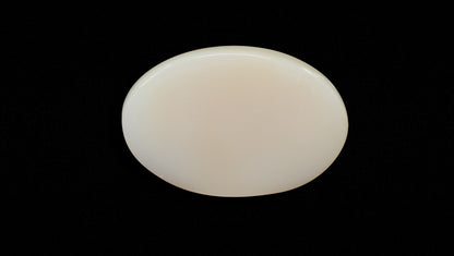 White Opal With Fire 19.72 Carats / 21.67 Ratti
