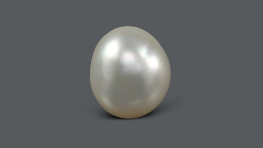 Venezuela Pearl 11.5 Carats / 12.83 Ratti