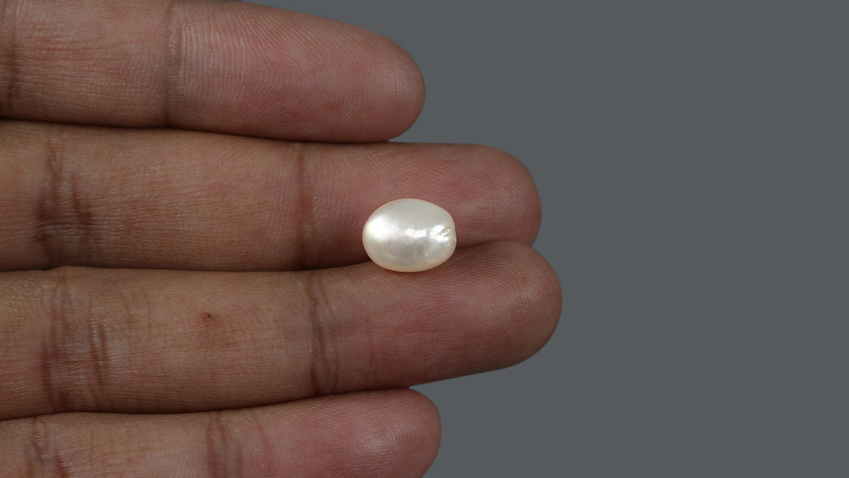 Venezuela Pearl 5.87 Carats / 6.52 Ratti