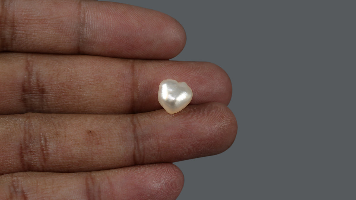 Venezuela Pearl 5.52 Carats / 6.13 Ratti