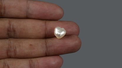 Venezuela Pearl 5.52 Carats / 6.13 Ratti