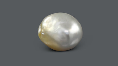 Venezuela Pearl 13.07 Carats / 14.52 Ratti
