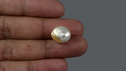 Venezuela Pearl 13.07 Carats / 14.52 Ratti
