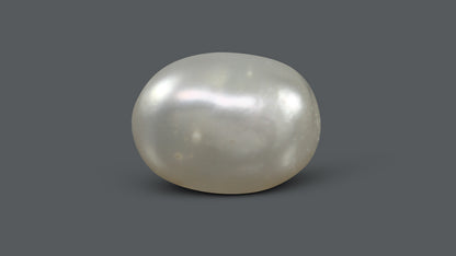 Venezuela Pearl 5.71 Carats / 6.34 Ratti