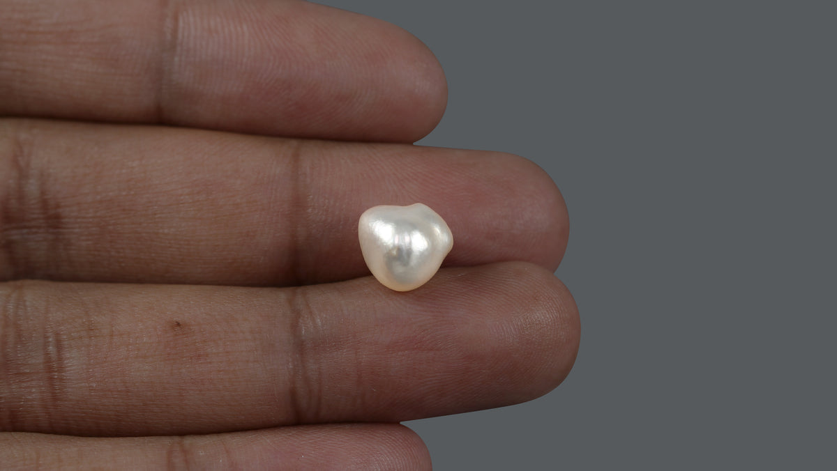 Venezuela Pearl 6.36 Carats / 7.07 Ratti