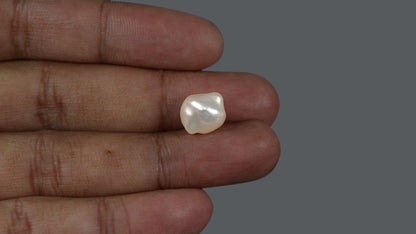 Venezuela Pearl 7.92 Carats / 8.8 Ratti