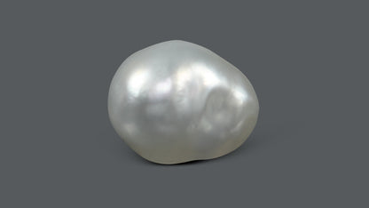 Venezuela Pearl 11.02 Carats / 12.24 Ratti