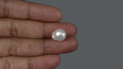 Venezuela Pearl 11.02 Carats / 12.24 Ratti