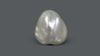 Venezuela Pearl 8.22 Carats / 9.13 Ratti