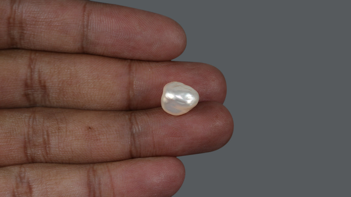Venezuela Pearl 8.22 Carats / 9.13 Ratti